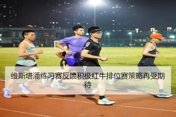 维斯塔潘练习赛反馈积极红牛排位赛策略再受期待